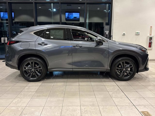 2026 Lexus NX Luxury photo 2