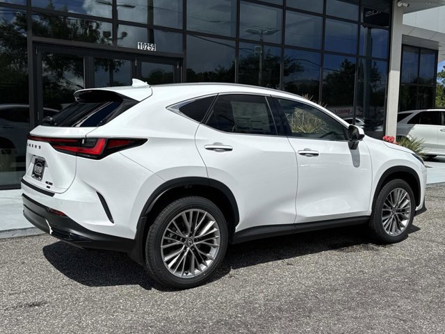 2026 Lexus NX 350 Luxury AWD photo 3
