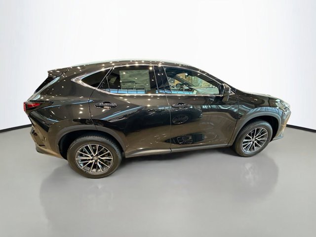 2026 Lexus NX 350 photo 4