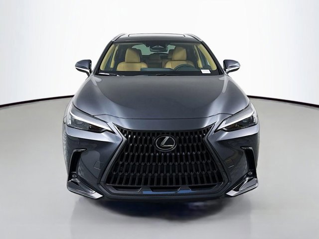 2025 Lexus NX 350h Premium AWD photo 2