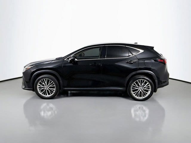 2023 Lexus NX 350 - Photo 8