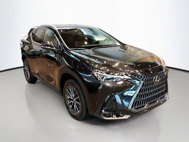2026 Lexus NX 350 photo 3