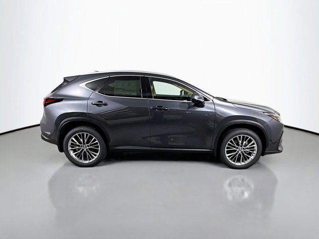 2025 Lexus NX 350h Premium AWD photo 4
