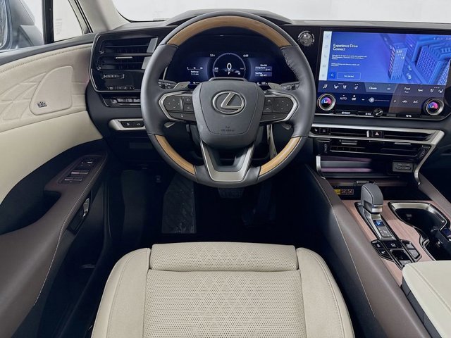 2026 Lexus RX 450h+ Luxury - Photo 19