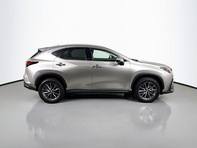 2022 Lexus NX 350 Premium photo 4
