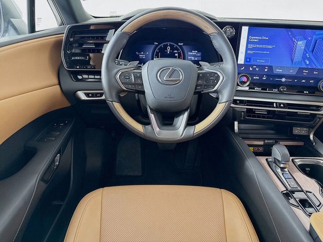 2025 Lexus RX 350 - Photo 24