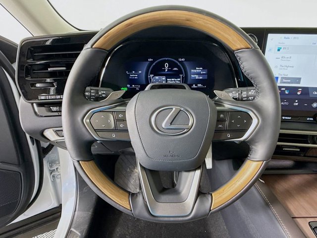 2026 Lexus RX 450h+ Luxury - Photo 10