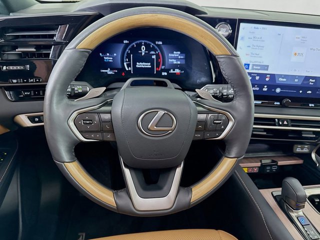 2025 Lexus RX 350 - Photo 11