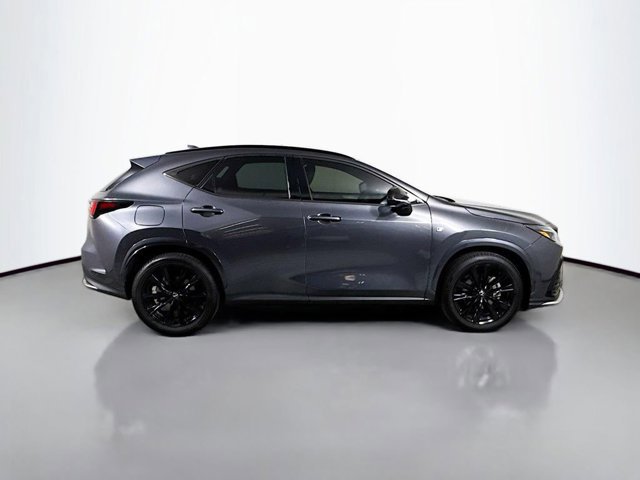 2024 Lexus NX 450h+ F SPORT Handling photo 4