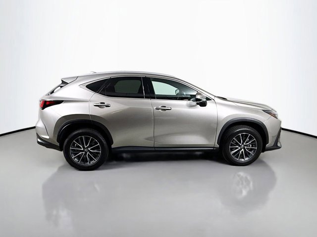 2025 Lexus NX 250 Premium photo 4