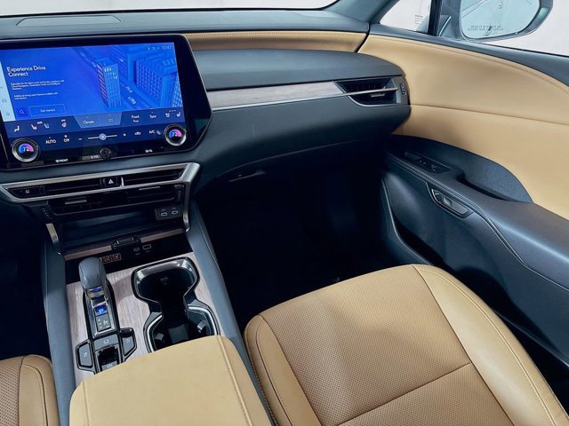 2025 Lexus RX 350 - Photo 25