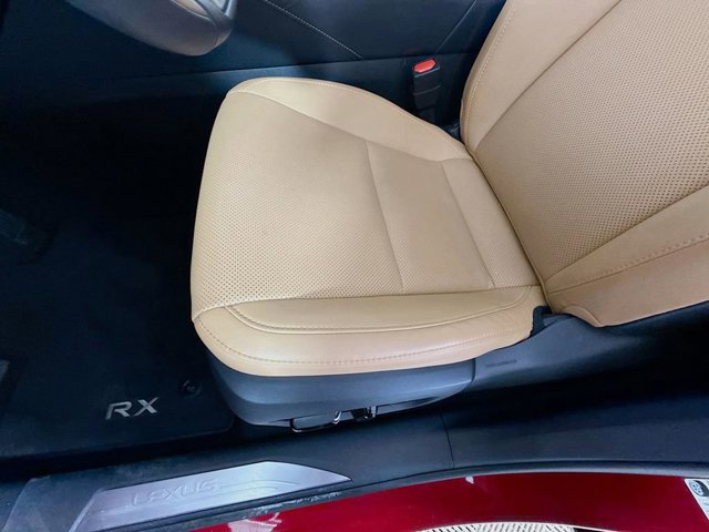 2025 Lexus RX 350 - Photo 19
