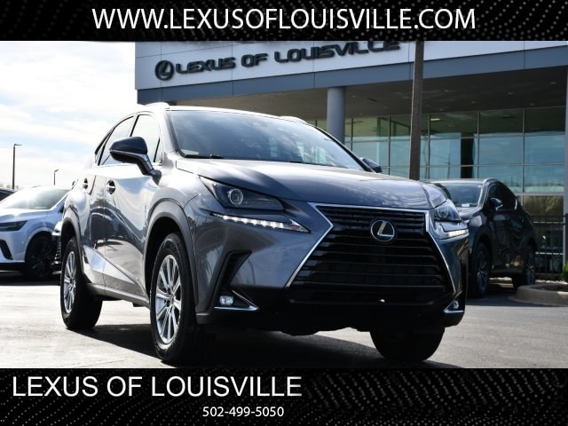 2021 Lexus NX 300's photo