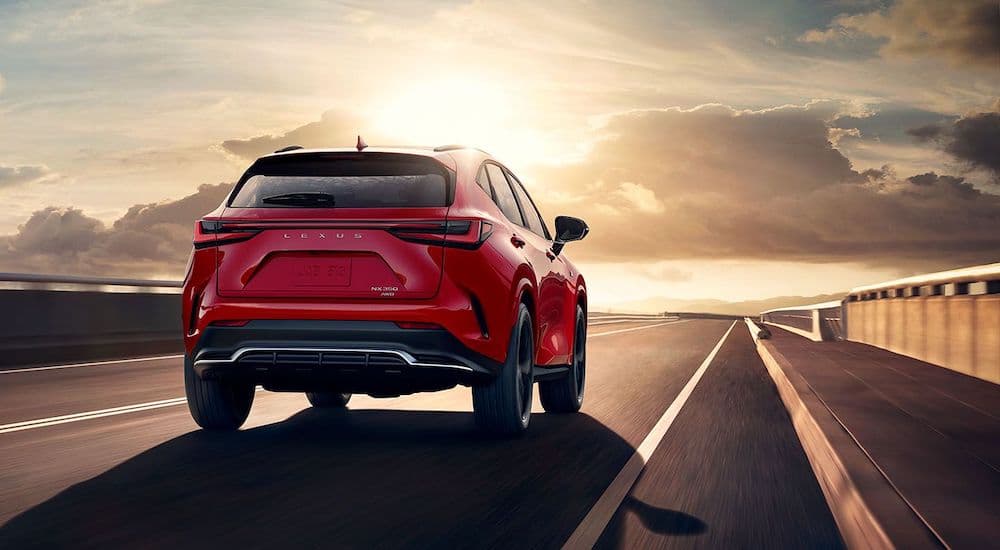 A red 2024 Lexus NX 350 AWD is shown from the rear at an angle.