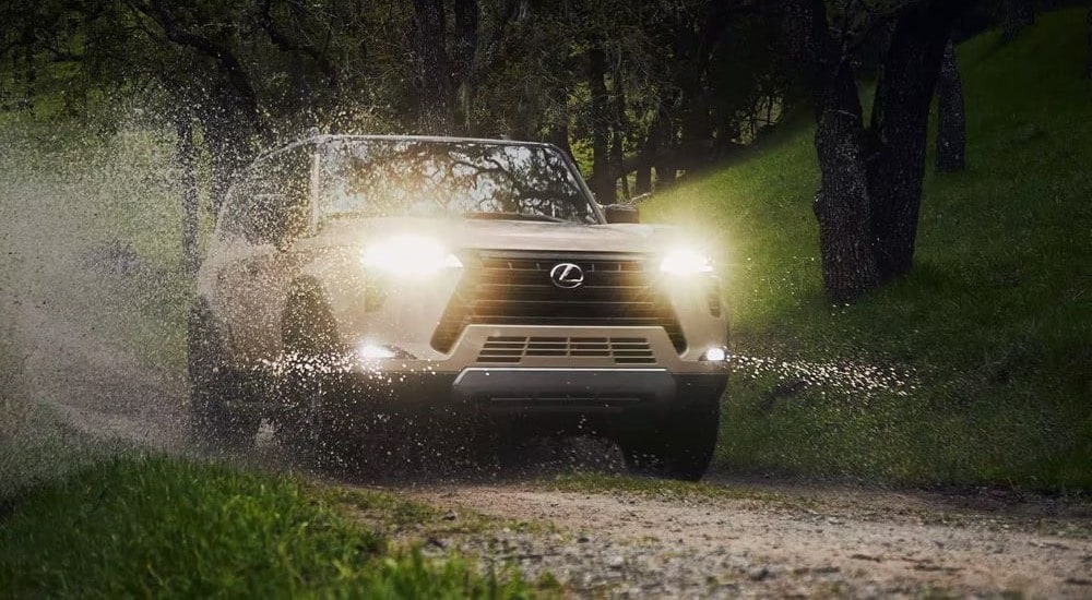 Lexus GX for Sale - 2024 Lexus GX - Rain.jpg A tan 2024 Lexus GX for sale is shown driving on a path in the rain.