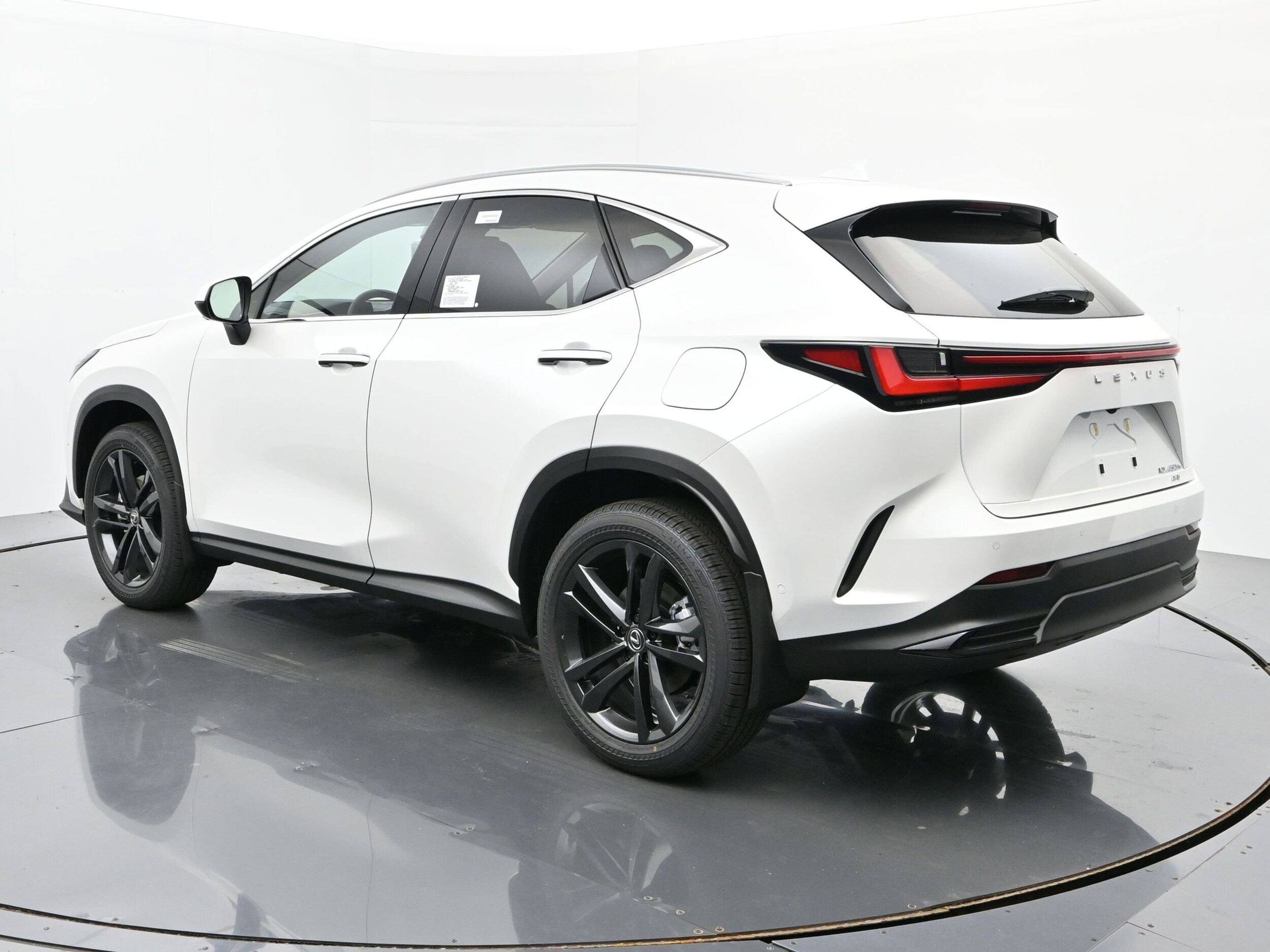 2025 Lexus NX Luxury AWD photo 3