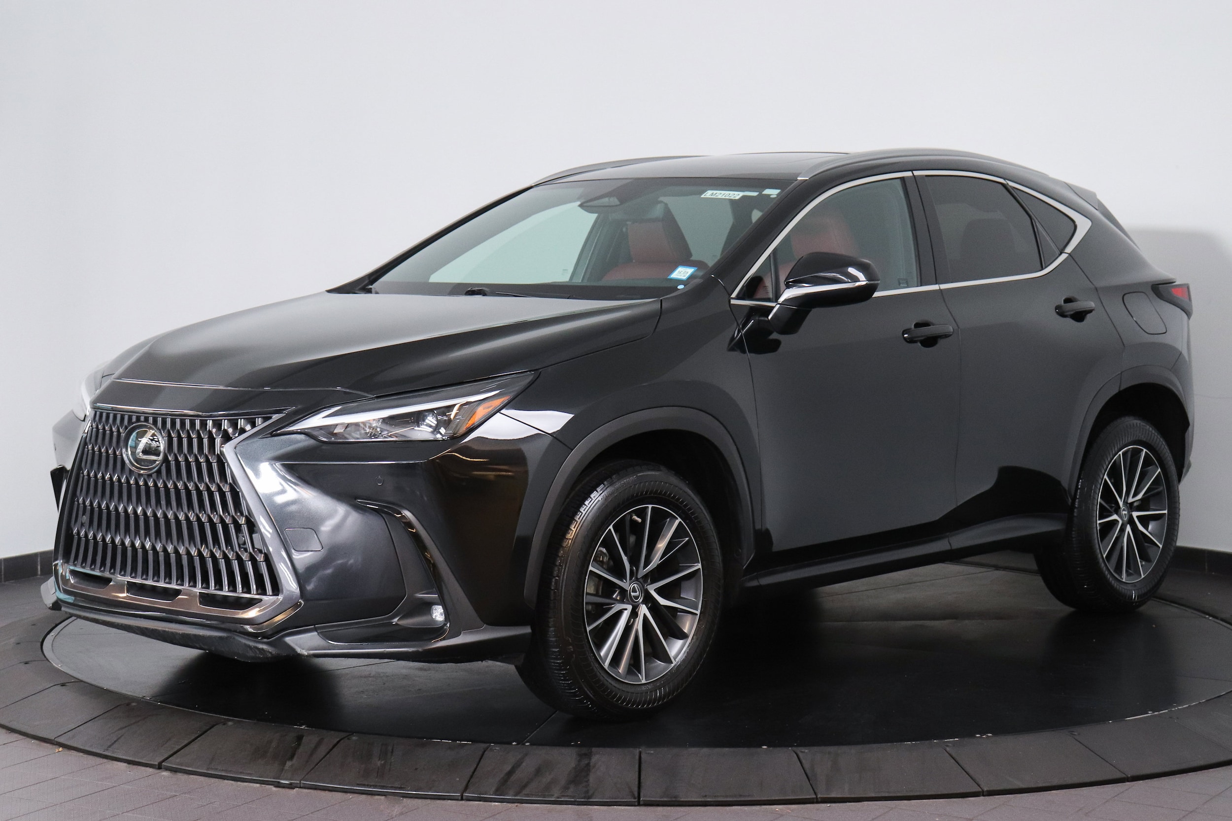 2023 Lexus NX 350's photo