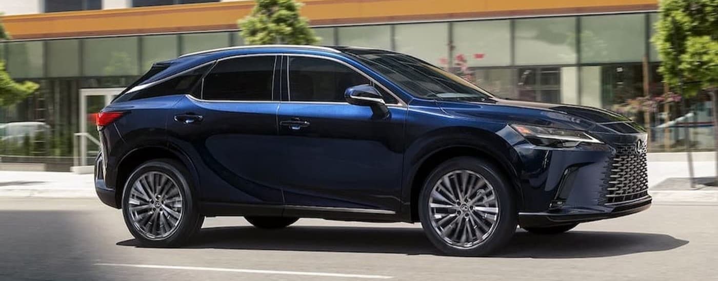 A blue 2024 Lexus RX is shown driving on a city street after visiting a Lexus dealer near White Plains.