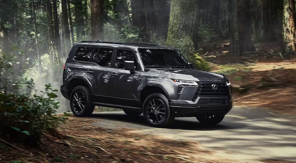 A black 2024 Lexus GX driving in a forest.