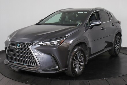 2022 LEXUS NX 350 Base Sport Utility
