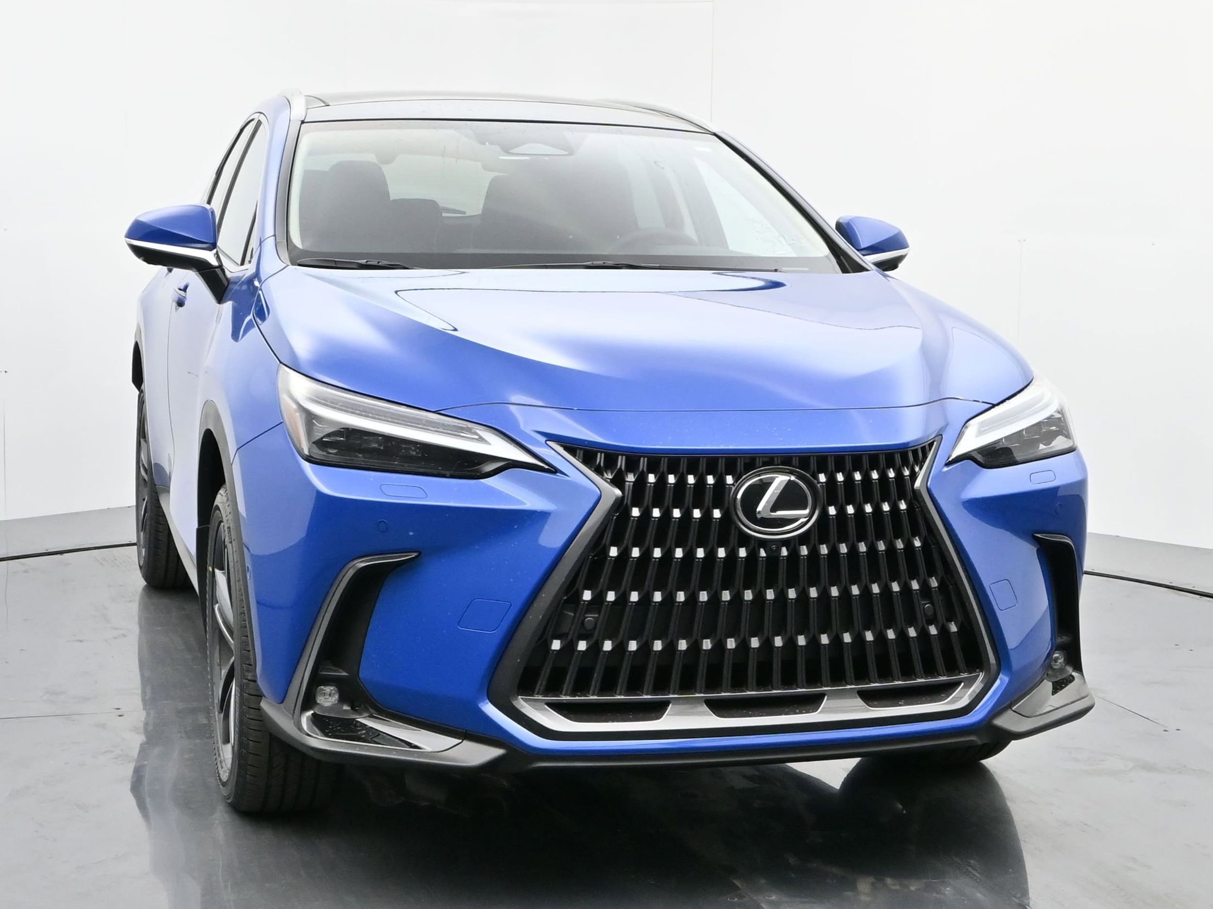 2025 Lexus NX - Photo 8