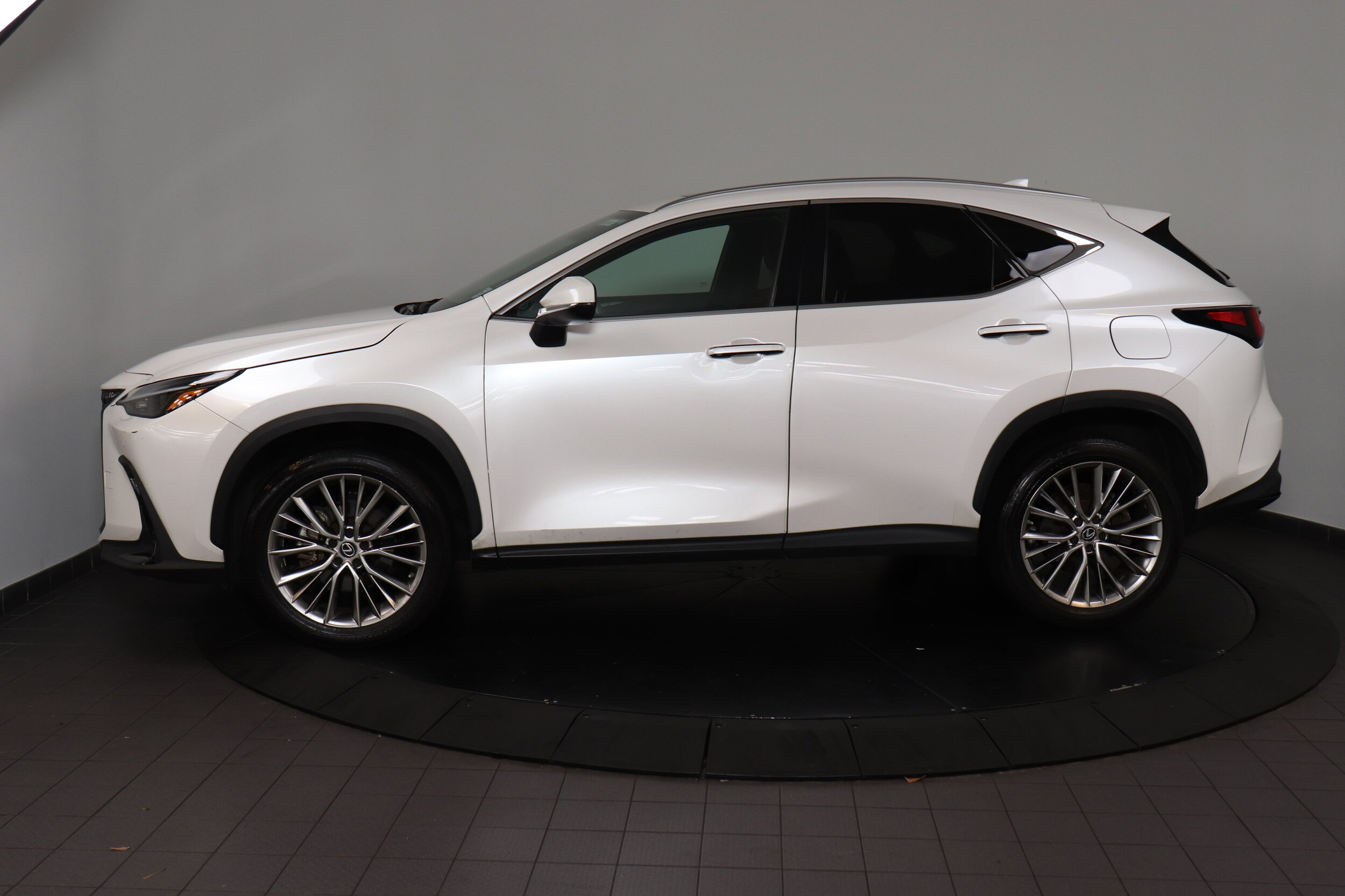 2023 Lexus NX 350h Premium photo 2