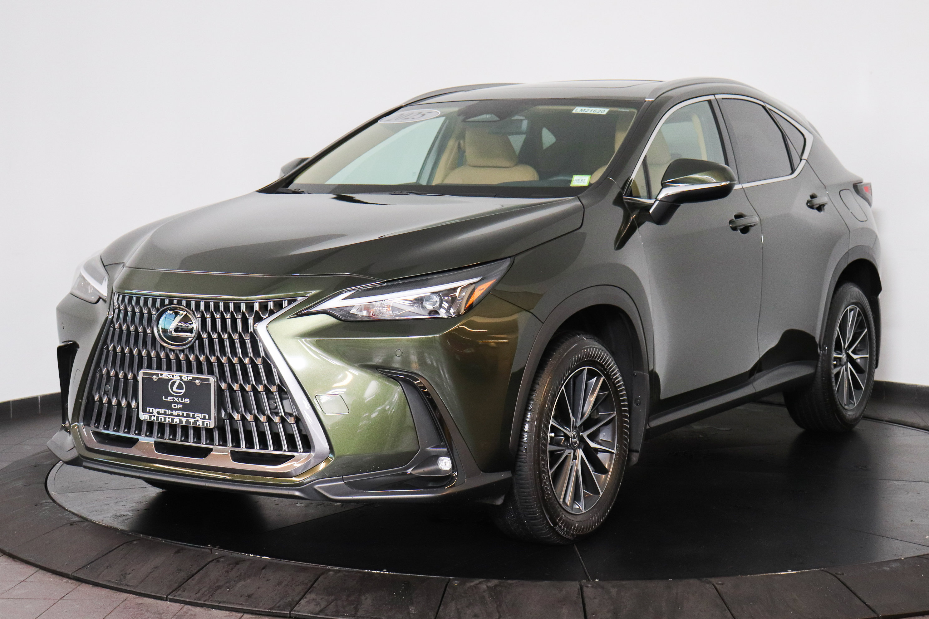 2025 Lexus NX