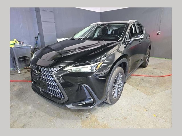 2024 Lexus NX