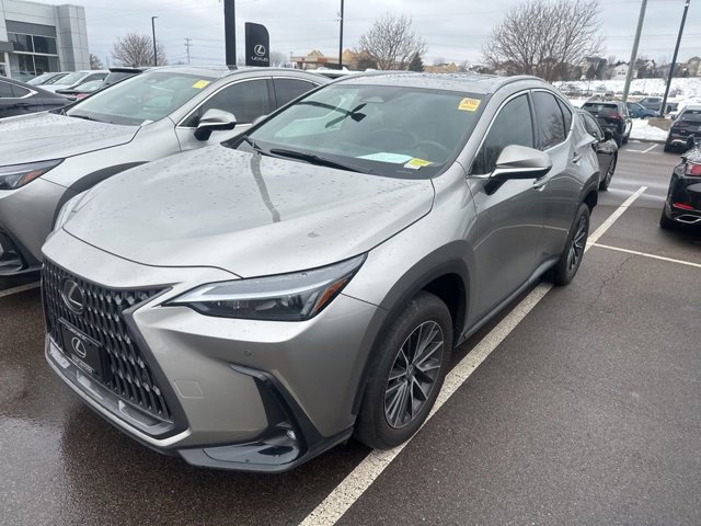 2024 Lexus NX 350's photo