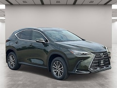 2025 LEXUS NX NX 350 Sport Utility