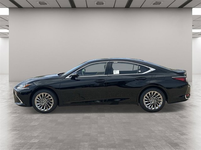 2025 Lexus ES 300h Luxury photo 3