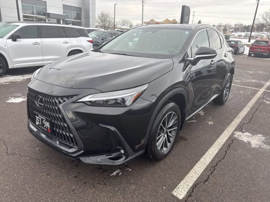 Used 2025 Lexus NX 350 SUV