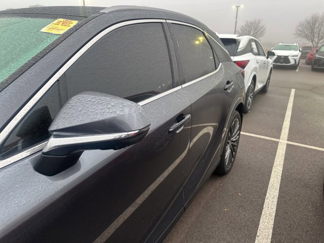 2025 Lexus RX 350h Luxury photo 4