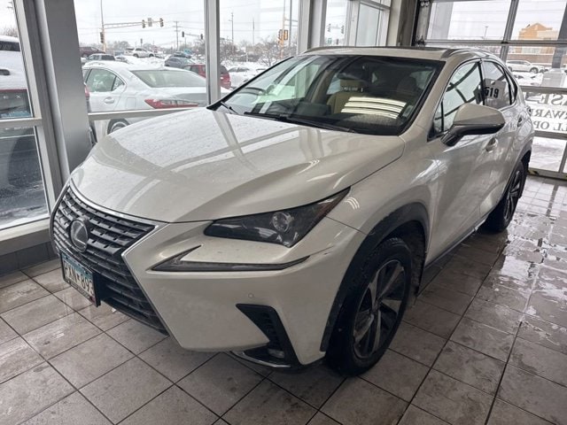 2019 Lexus NX Hybrid 300h's photo