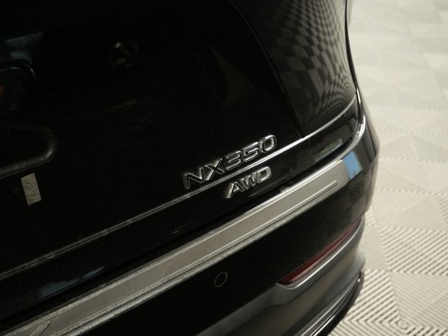 2024 Lexus NX 350 - Photo 9