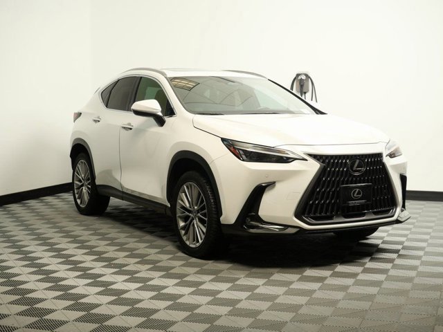 2022 Lexus NX Hybrid 350h's photo