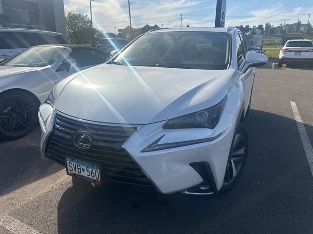2019 Lexus NX 300 Luxury photo 3