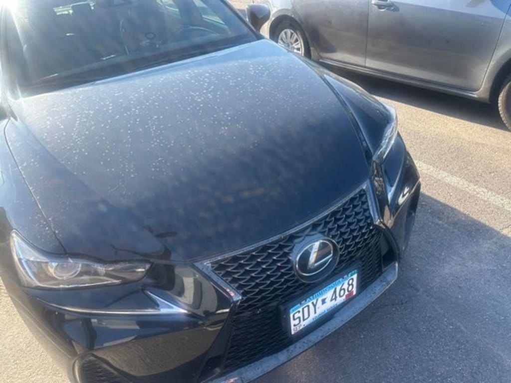 Used 2019 Lexus IS 300 Sedan