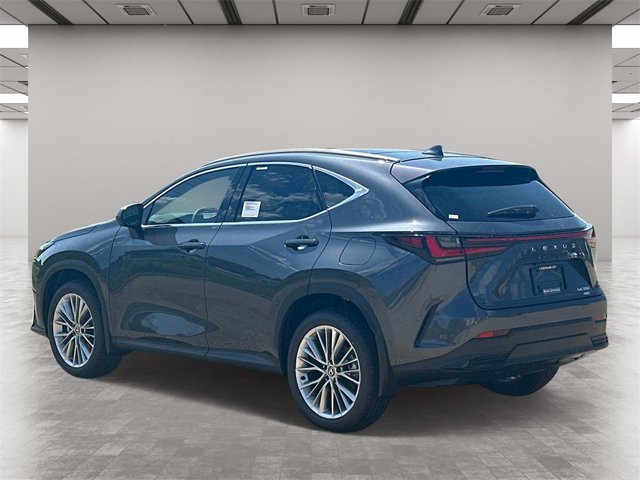 2025 Lexus NX 350 Luxury AWD photo 4