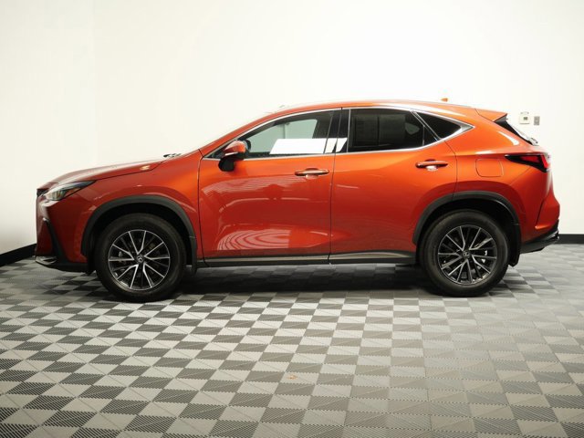 2024 Lexus NX 350h photo 4