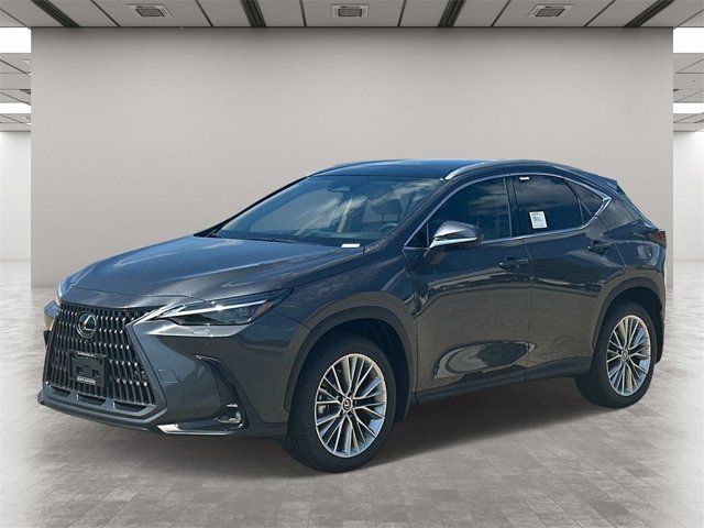 2025 Lexus NX 350 Luxury AWD photo 2