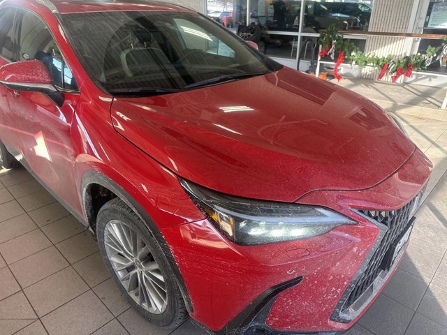 2023 Lexus NX 350's photo