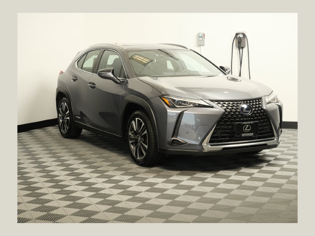 2019 Lexus UX Hybrid