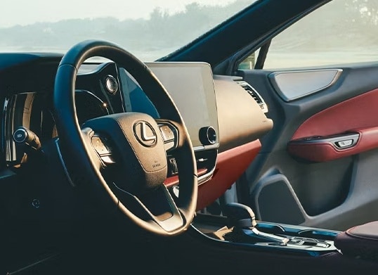 Lexus NX 250 for sale in St. Paul MN