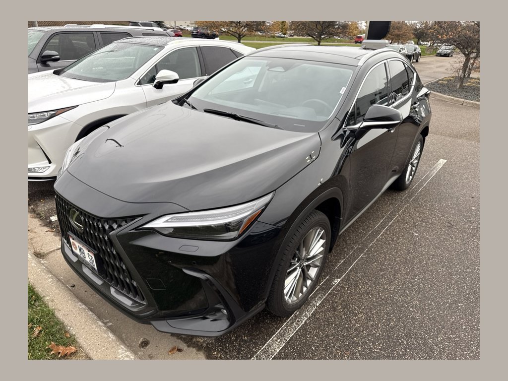 Used 2025 Lexus NX 350h Luxury SUV