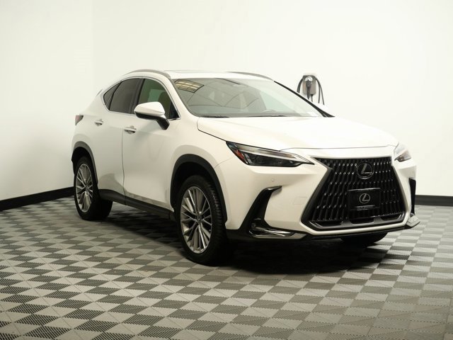 2022 Lexus NX Hybrid 350h's photo