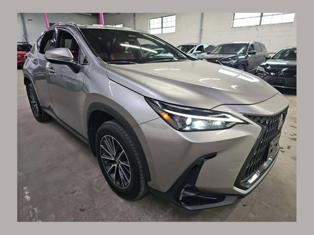 2024 Lexus NX 350 350 AWD's photo