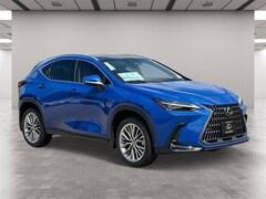 2025 LEXUS NX 350 Luxury SUV