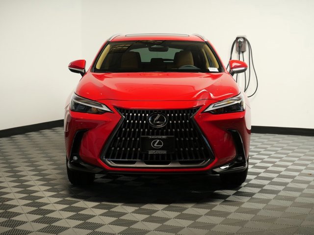 2025 Lexus NX 350h photo 2