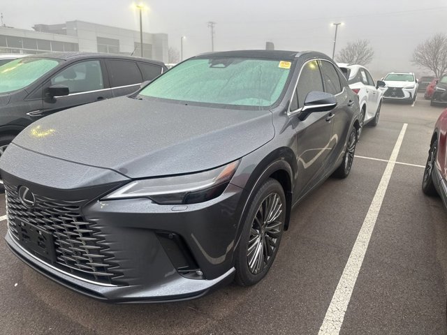 2025 Lexus RX 350h Luxury photo 3